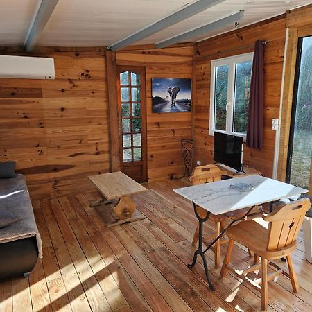 Chalet Banane Devant Piscine, A 6Km Du Festival De Piano De La Roque D'Antheron Rognes エクステリア 写真